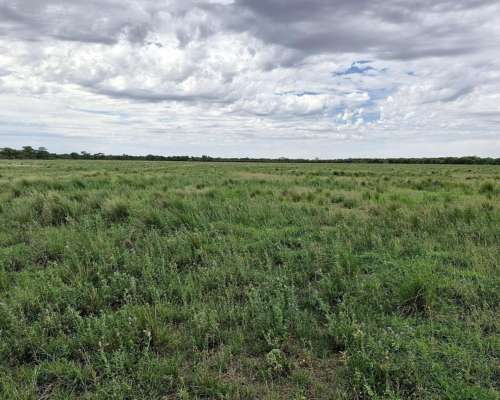 Villa Valeria, General Roca, Córdoba - 843 Ha