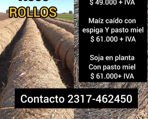Rollos de Últimos Dias