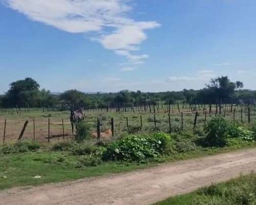 Ezn Venta Campo Ganadero 700