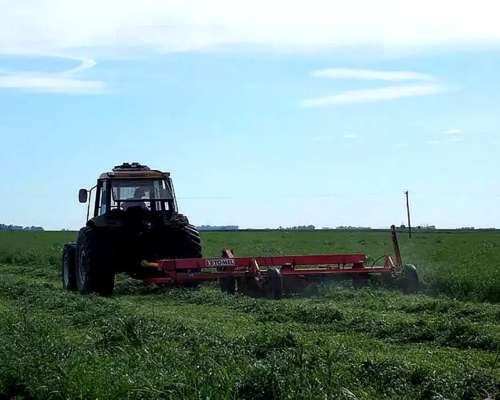 Cortahileradora Yomel HM 324 Cardánica