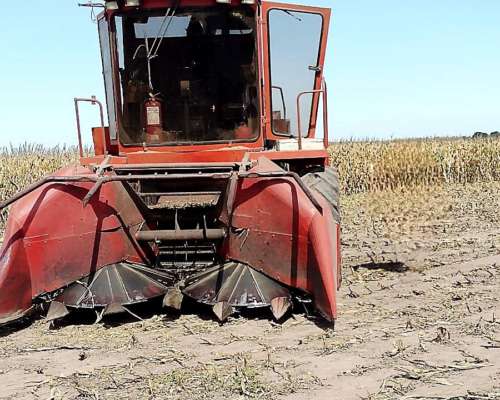 Picadora de Forraje Marani