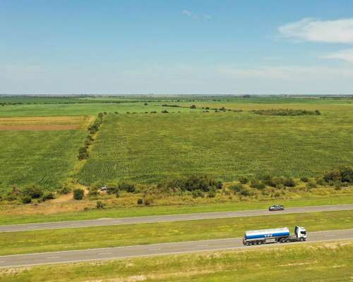 Piquillín, Río Primero, Córdoba - 56 Ha