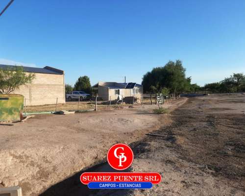 En Venta 2.500 Has Chacharramendi la Pampa.-