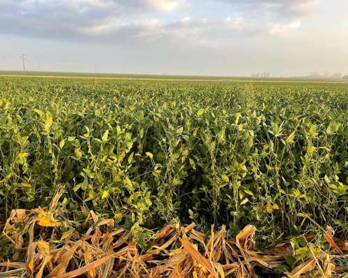 San Salvador, 721 Ha Agricolas Recrea e Invernada