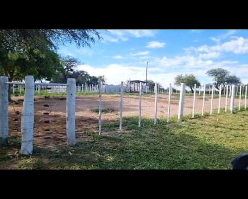 1000 Has en Norte Cba. Sobremonte
