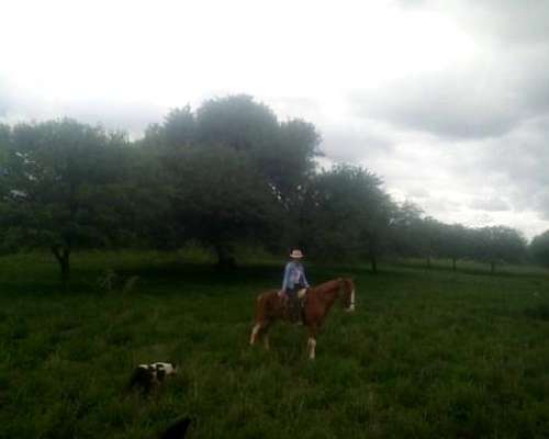 Chaco, Campo Ganadero Armado