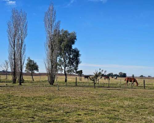Baradero - 52 Ha - Buenos Aires
