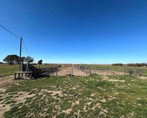 302 Has. Bahia Blanca con Arroyo