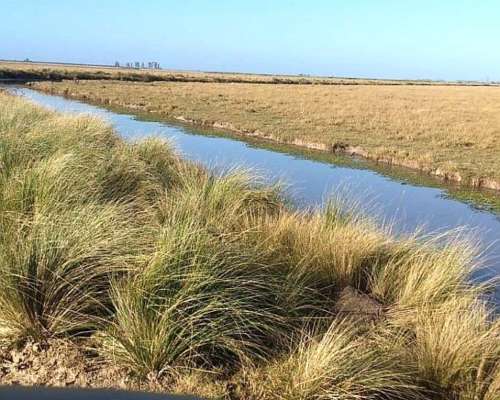 2700 Hectáreas Ganaderas en Ceibas en Gualeguaychú.
