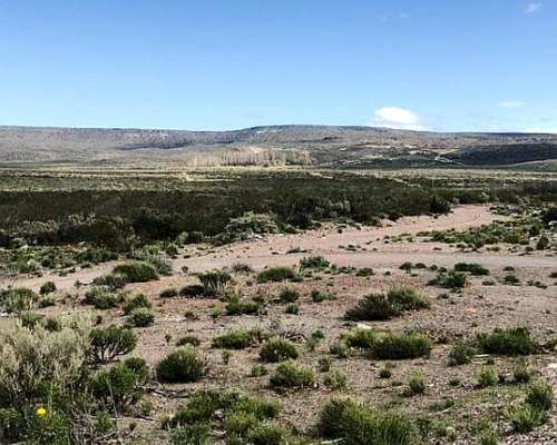 Venta Campo Telsen Chubut 4600 Hectáreas