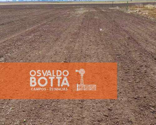 Campo Agricola en Venta 90 Has Bolívar, Buenos Aires