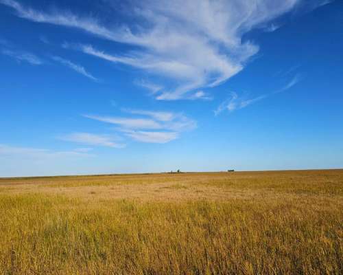 Campo Venta Ruta Mixto 70 Ha Saladillo