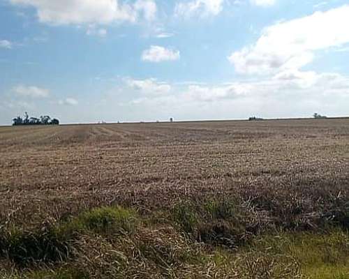 Campo en Zona Núcleo Santa FE