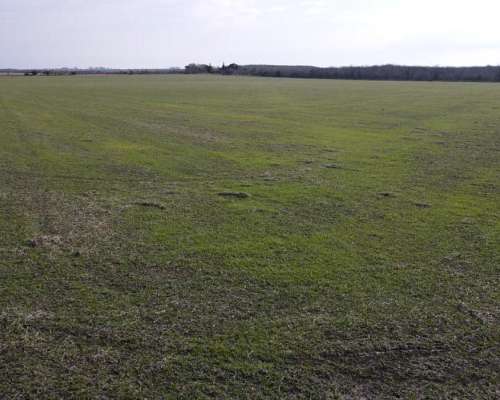 Campo Agrícola en Rocamora de 59 Hectáreas.