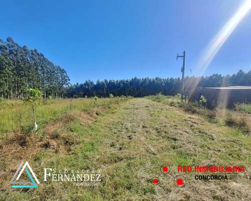 Campo en Venta, Zona Citricola/forestal Cerca de Zona Urbana
