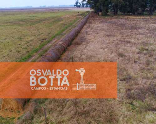 450has Mixtas en Bolivar, Buenos Aires