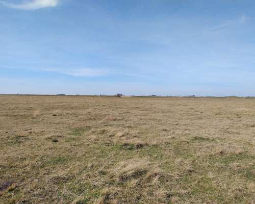 Alcorta Mixto 487 Has