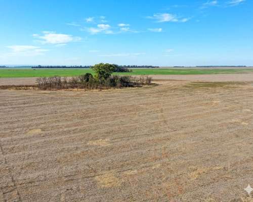 Río Cuarto, Córdoba - 258 Ha