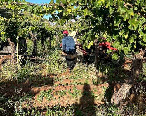 Finca Productiva en Venta – 112 Ha con Riego