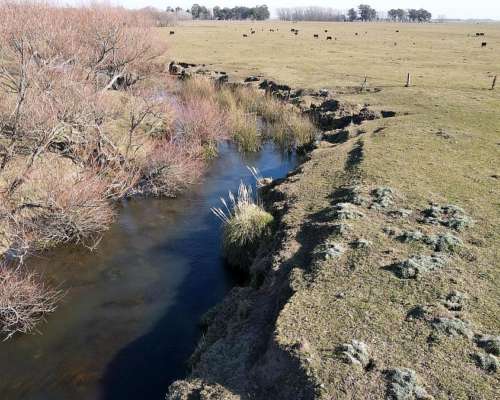 Ramos Otero, Balcarce, Buenos Aires - 148 Ha