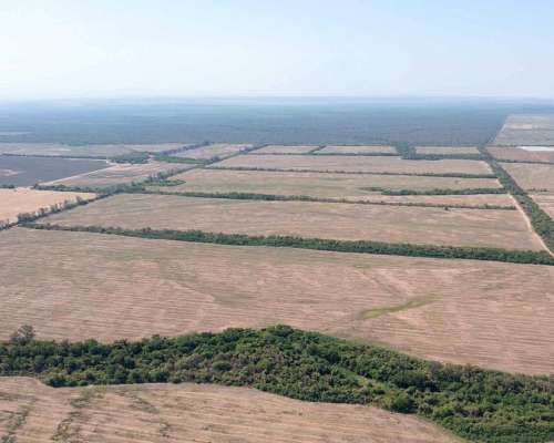 Pcia. de Salta - Embarcacion 1370 Has