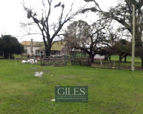 Campo Mixto Entre Rios Villaguay 721 Hectáreas