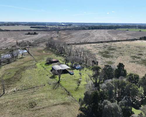 68 Has. Campo Agrícola con Mejoras en Zárate
