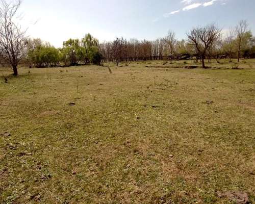 60 Hectáreas en Gualeguaychú, Excelente Tierra.