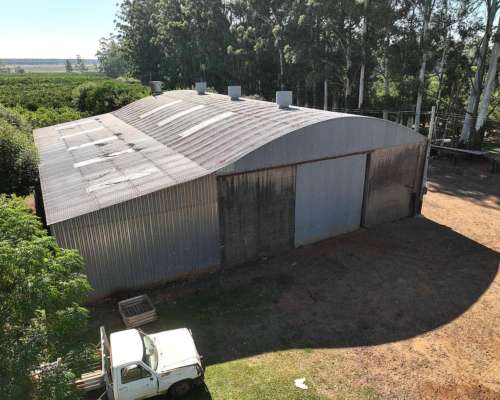 Pcia. de Corrientes - Alvear 115 Ha