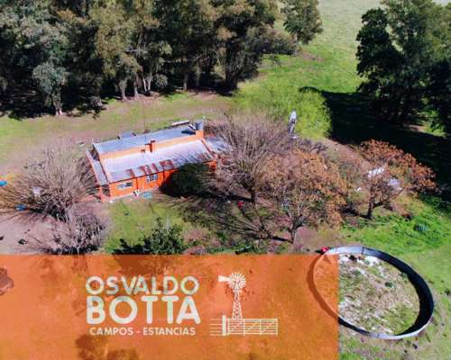 Campo en Venta 393has Mercedes, Buenos Aires