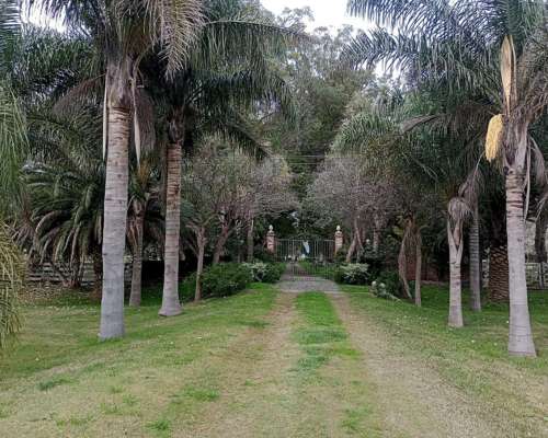 Campo en Venta en Magdalena - 226 Has a 1 Hora de Caba