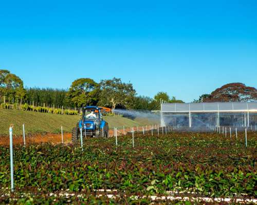 Pulverizador Jacto Tipo Cañon AJ600