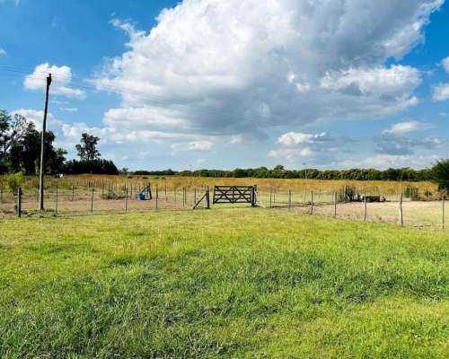 Mercedes, Buenos Aires - 14,5 Ha