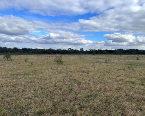 220 Ha en Lucas Gonzalez. Mixto. Buena Parte Agrícola