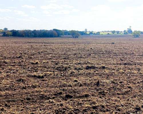 Venta. 26 Has Agricolas en Tres Bocas. Gualeguay