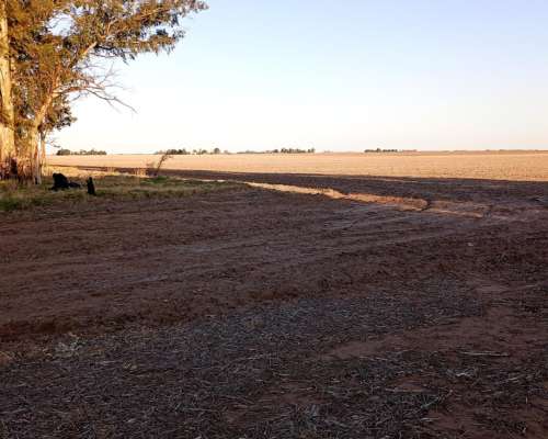 Campo Entre Rio Tercero y Tancacha