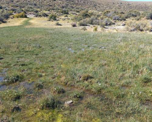 Estancia en Rio Mayo. 7345 HA. Chubut