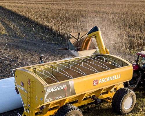 Tolva Autodescargable Ascanelli 30 Toneladas