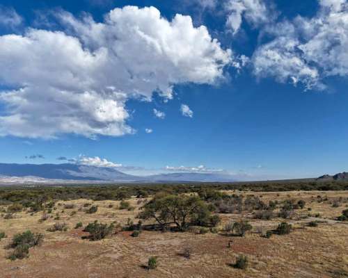 Pcia. de Tucuman - Tolombon 320 Ha