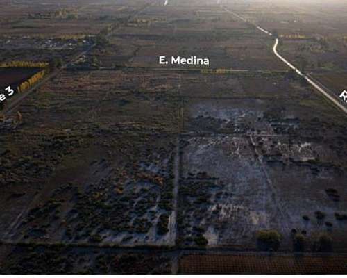 Arrendamiento Agrícola 21 Has con Derecho de Riego – 25 de M