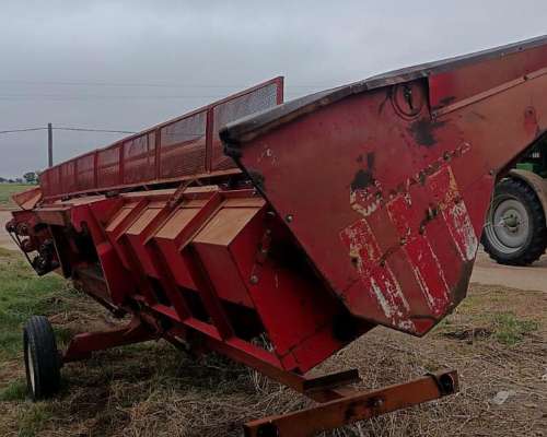 Girasolero Mainero de 10 a 70 CM.