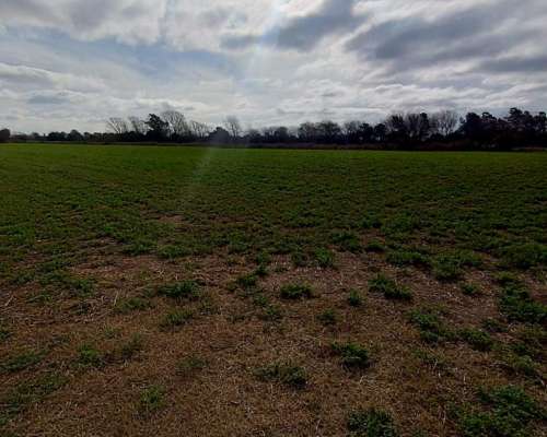 Campo de 3.5 Has. - Zona Aeroclub Villa Coronel Olmedo)