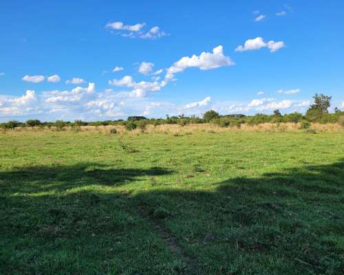 Venta de 25 Has en Mercedes (corrientes) en Zona Urbana