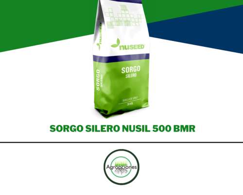 Semilla de Sorgo Granifero Jowar Short