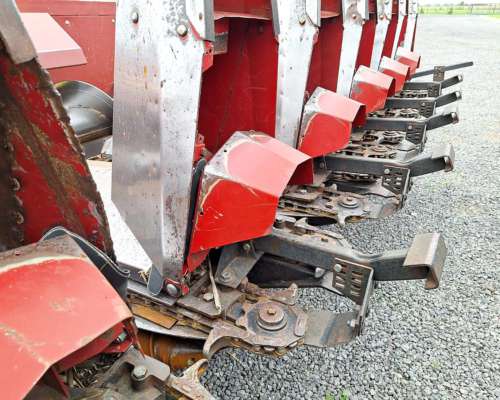 Maicero - Maizco de 12 a 52,5 cm - año 2012 (emb Vassalli)