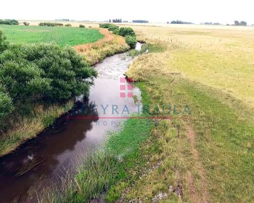 Excelente Campo Mixto en Venta. Juan N Fernandez - Necochea