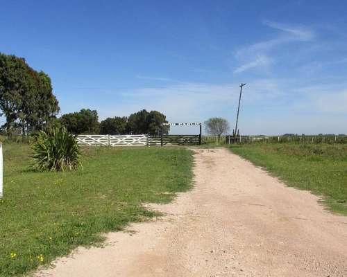 1.144 Has - en Venta - Adolfo Gonzales Chaves - Buenos Aires