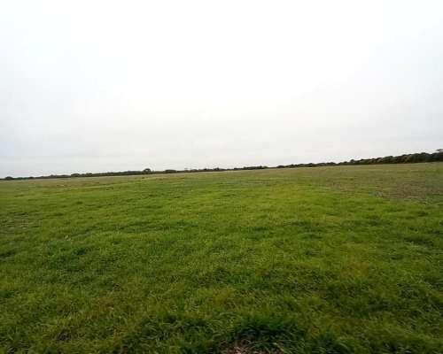 Campo 54ha - Providencia