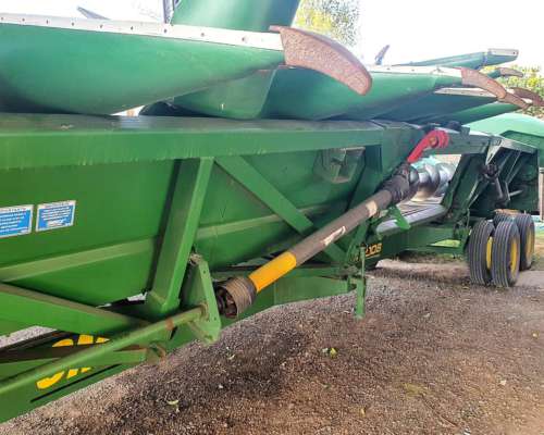 Ombú Maicero, Excelente Estado