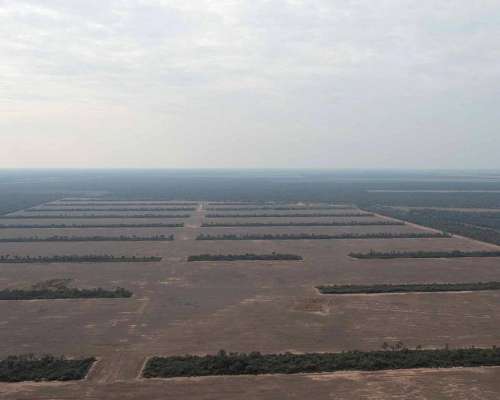 Pcia. de Santiago del Estero - el Cabure 1675 Has